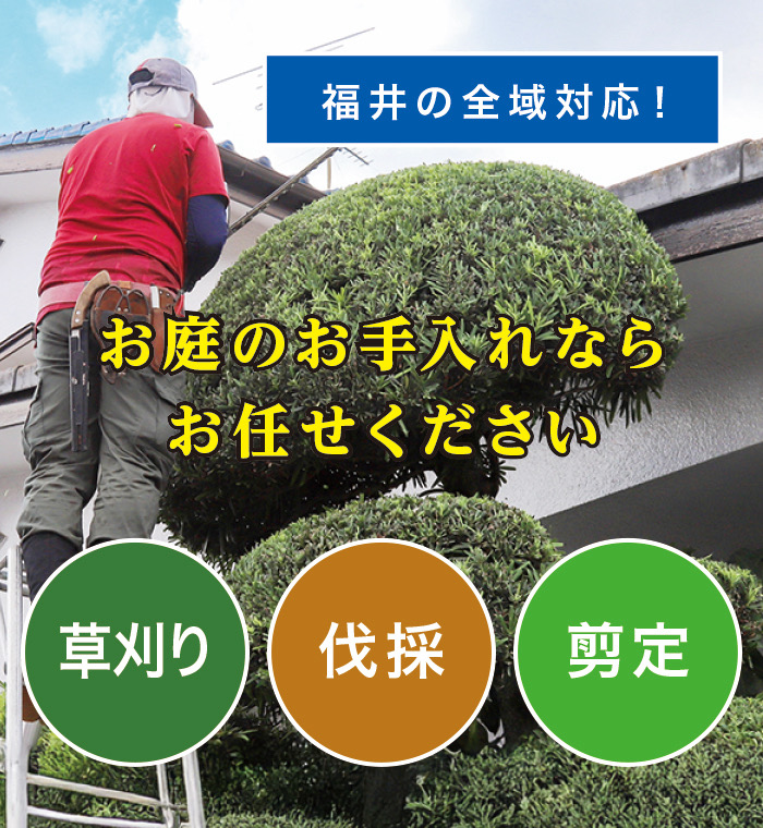 越前町で草刈り・剪定・伐採なら「お庭の大将」 越前町で草刈り・剪定・伐採なら「お庭の大将」